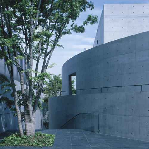 TADAO ANDO ～建築家・安藤忠雄～ [DVD]エンタメ/ホビー