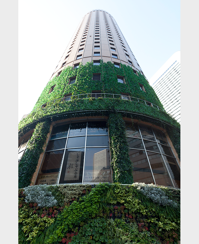 都市の大樹, 大阪府大阪市, 2013年