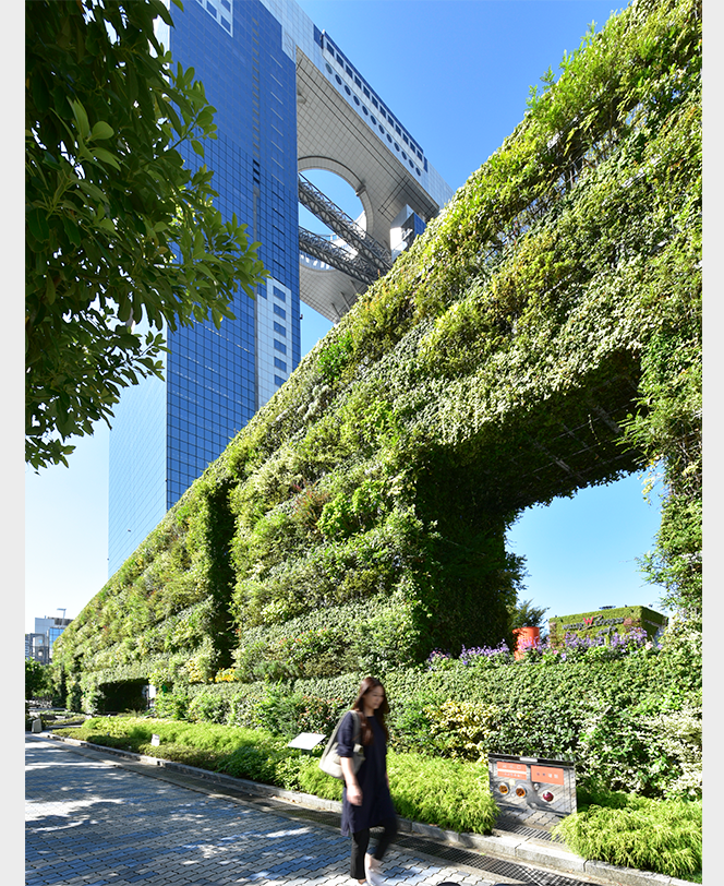 希望の壁, 大阪府大阪市, 2013年